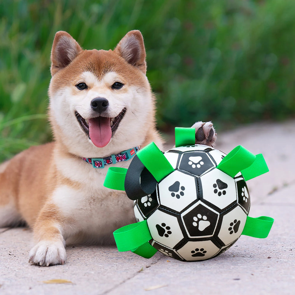 Honden voetbal